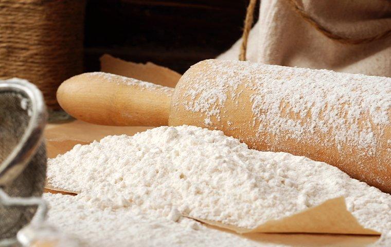 rolling pin covered in flour