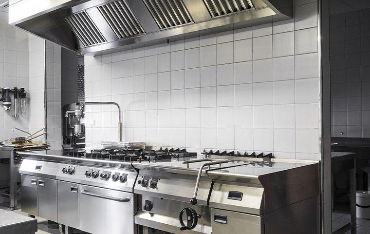 commercial kitchen that is pest free