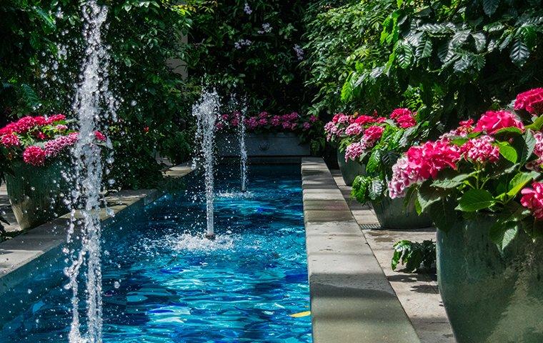 a landscaped backyard with a stone edged pool