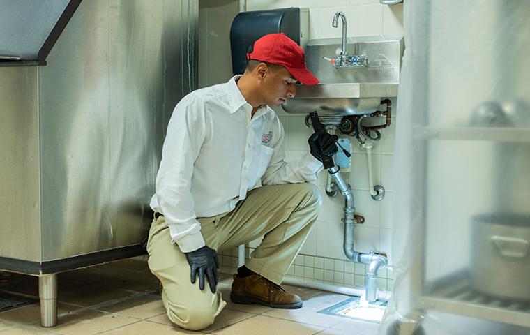 commercial kitchen drain inspection in keller texas