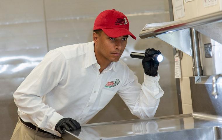 pest control technician inspecting a commercial kitchen counter