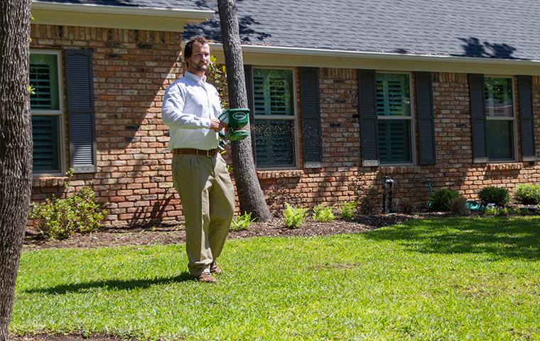 tech treating for red ants outside home in frisco