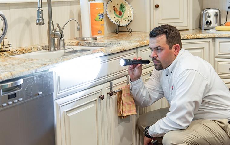 pest control tech inspecting for pest sign in kitchen