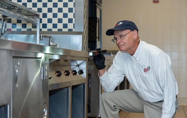 adams pest control technician inspecting commercial kitchen