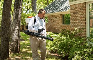 technician treating around home for mosquitoes