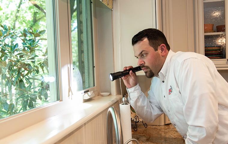 adams tech inspecting around kitchen window