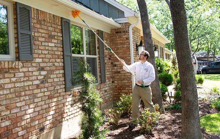 adams tech removing spider webs from home in sachse texas