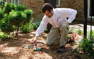 adams tech checking a sentricon bait station