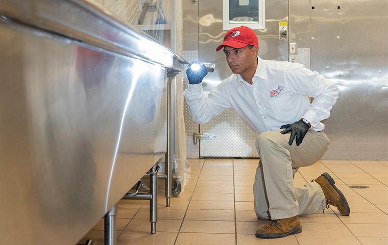 pest control technician inspecting commercial kitchen