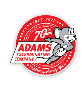 adams exterminating