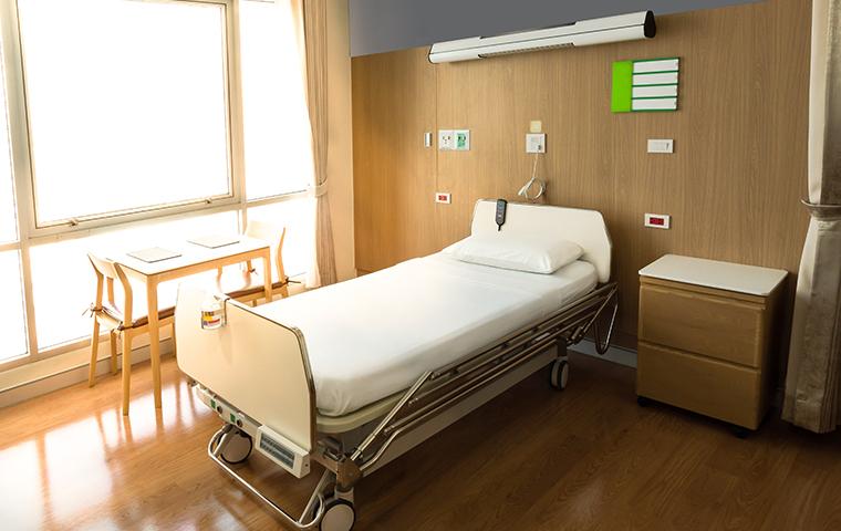 modern wooded hospital room with sunlight coming through window