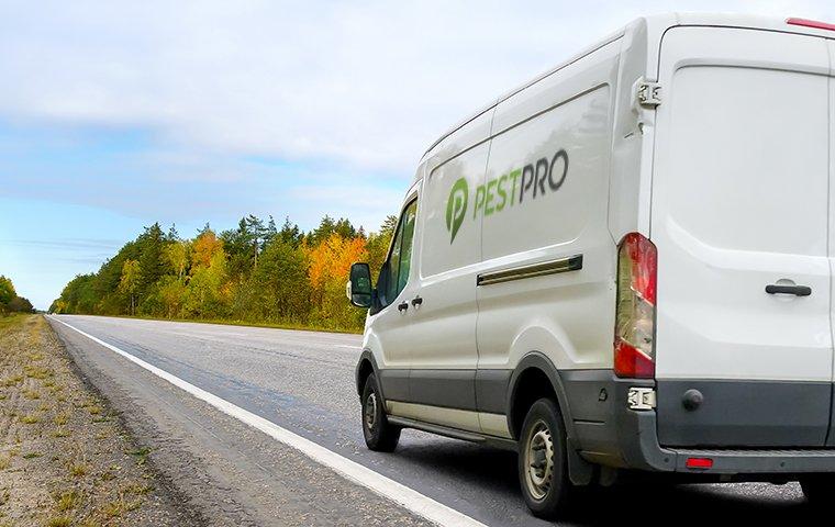 pest pro company van driving down the road