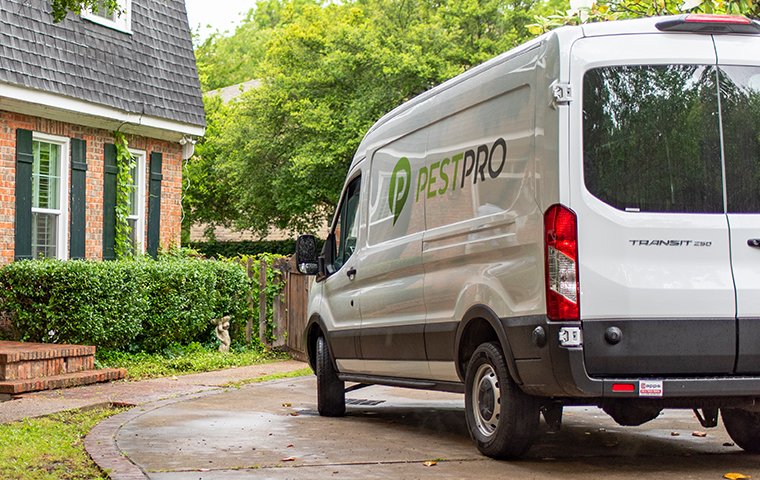 a pest pro company van in driveway