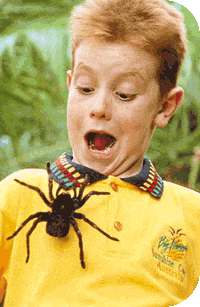 a spider on a child that is afraid