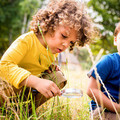 children looking for bugs with a magnifying glass