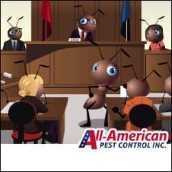 a cartoon of ants going to court