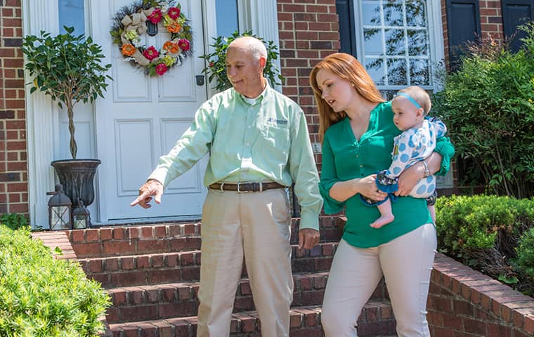 Hermitage Tn Pest Control Termite Control Experts