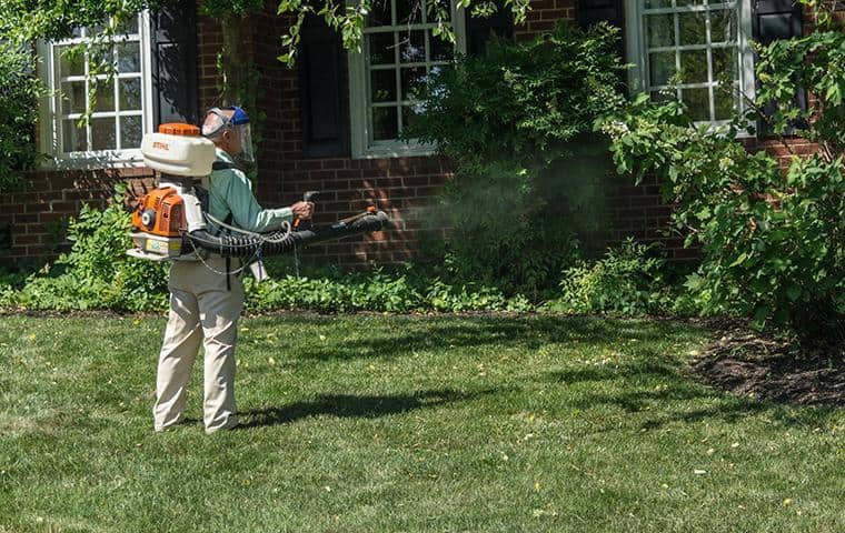 Misting Treatments For Mosquitoes, Outdoor Spiders & More mosquito misting treatment nashville tn
