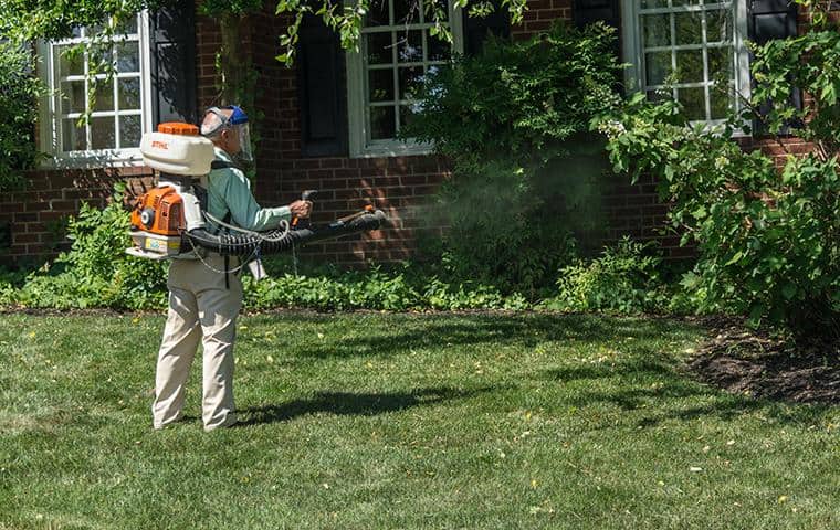 backyard pest treatment for mosquitoes, ticks and other outdoor pests in nashville