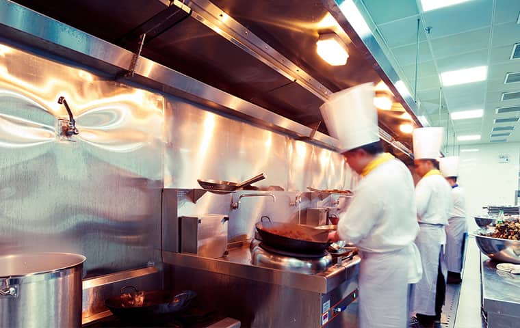 chefs working in a commercial kitchen inside of a suffolk virginia home