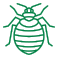bedbug icon