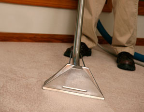 carpet cleaner in clearwater