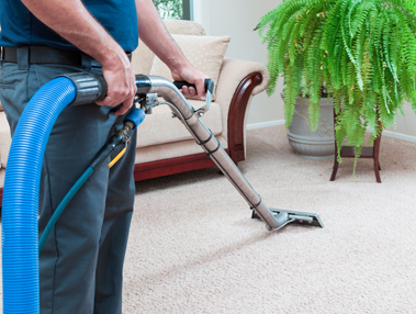 carpet cleaning in business