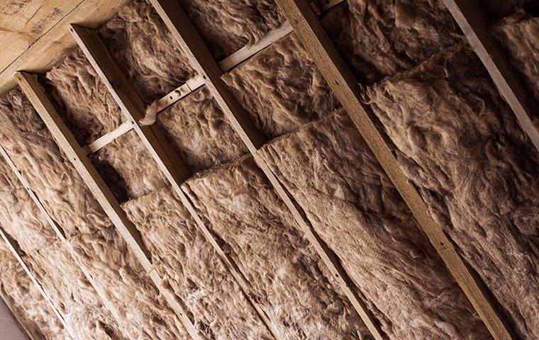 Attic & Crawlspace Remediation Service In Greater Richmond, VA