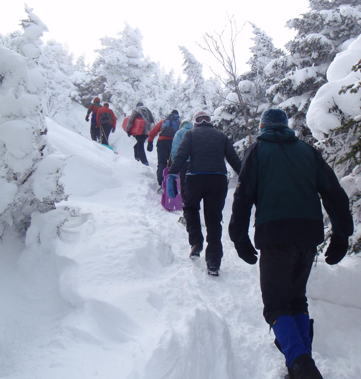 Sometimes trails are packed down enough that you don't need snowshoes. You probably want to bring them just in case though!