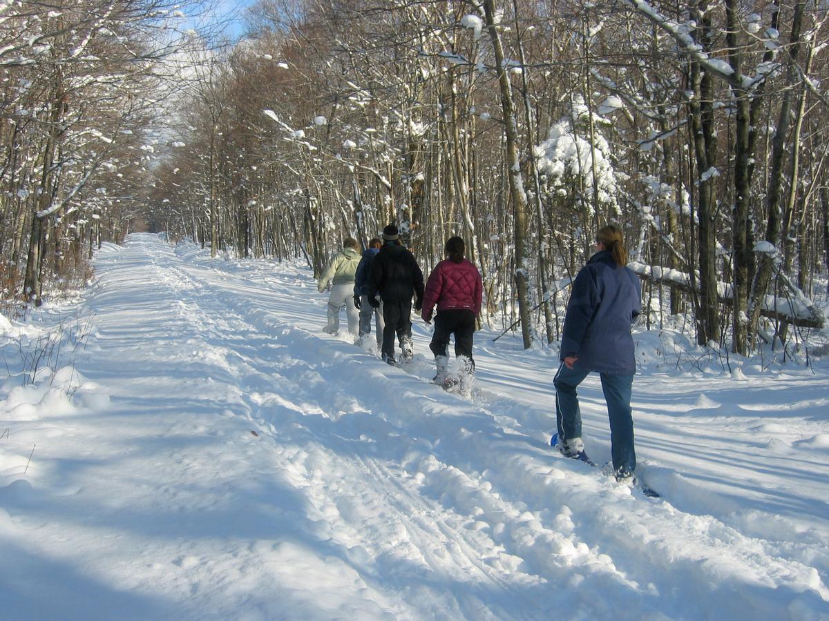 Good winter trail etiquette - snowshoeing away from the established ski tracks.