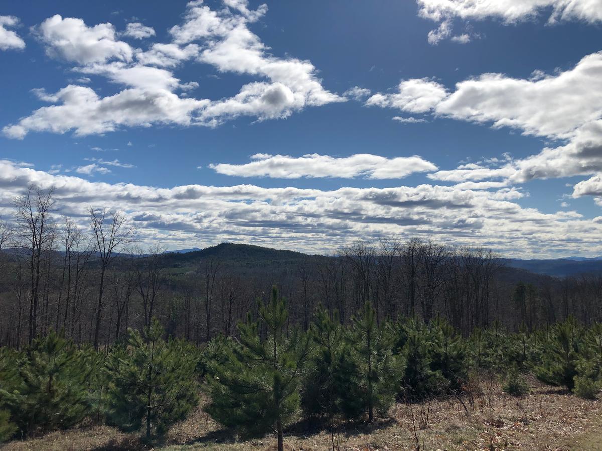 A view from Prospect Hill on the Trescott Trails looks out over a sharp blue sky dotted with clouds.