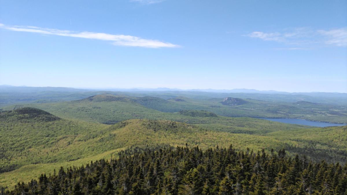View from the firetower on Bald Mountain