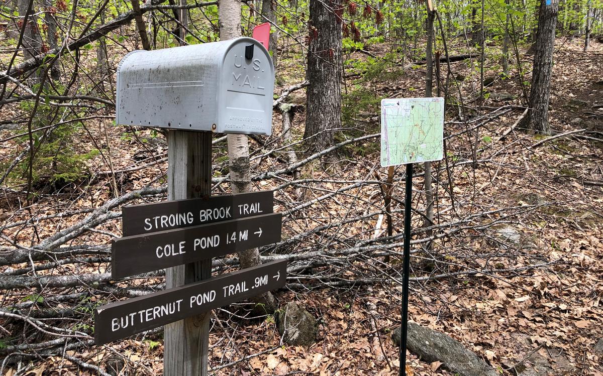 A trail sign stands in the foreground with a mailbox perched on top of it. In the background is another post with a trail map.