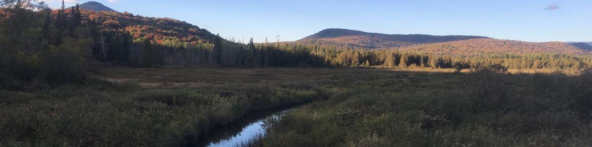 A view as the sun sets of mountains, a bog and a small creek