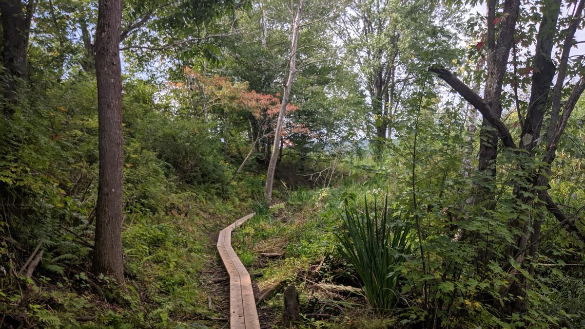 Scott's Trail at Prouty Beach.