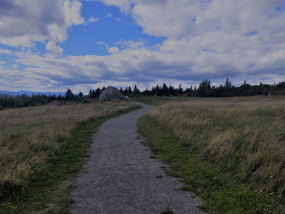 A gravel trail slopes slightly upward toward a viewpoint