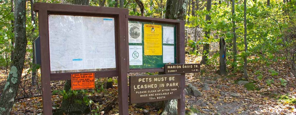 are dogs allowed at miller state park