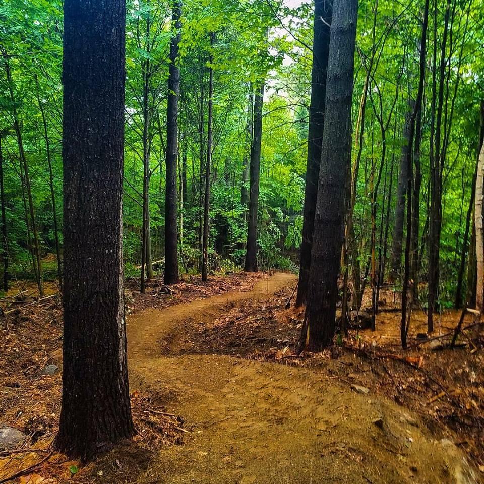 green woodlands mountain biking