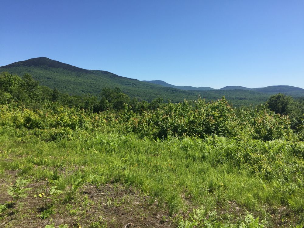 Orford Heritage Trail Trail Finder