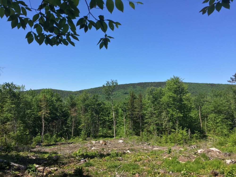 Orford Heritage Trail Trail Finder