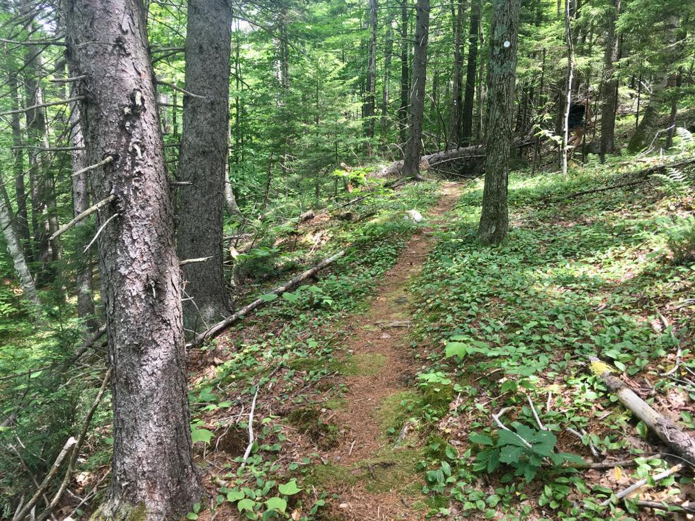 Athens Dome Trail Finder