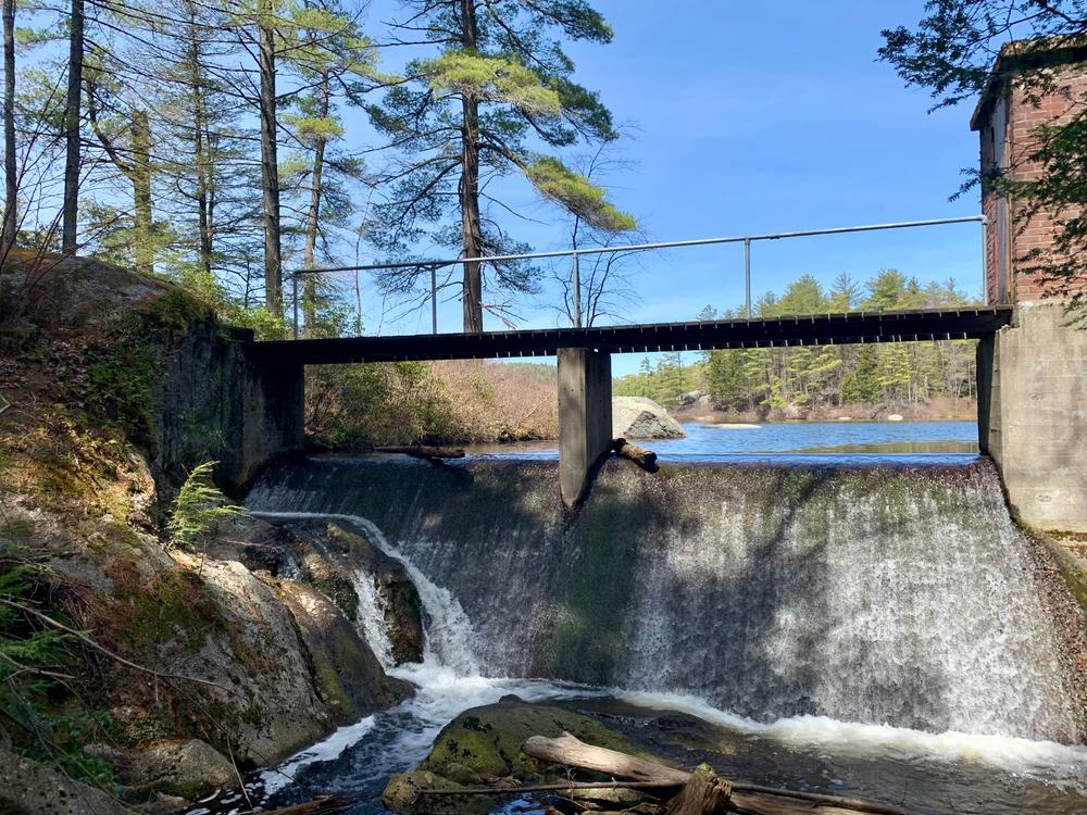 Pisgah State Park Trail Finder