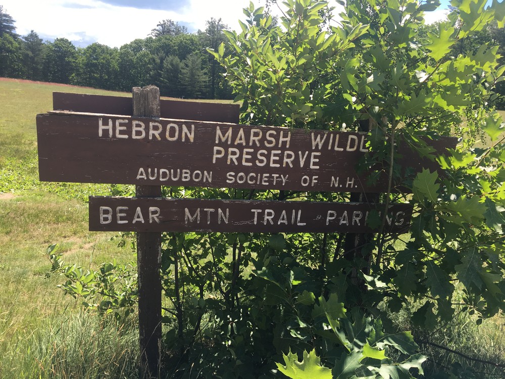 Bear Mountain Wildlife Sanctuary Trail Finder
