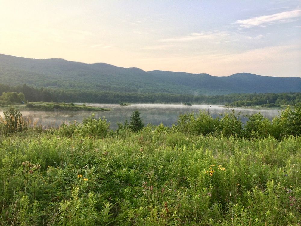 Blueberry Lake Green Mountain National Forest Trail Finder