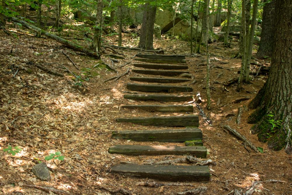 Boulder Loop Trail Trail Finder