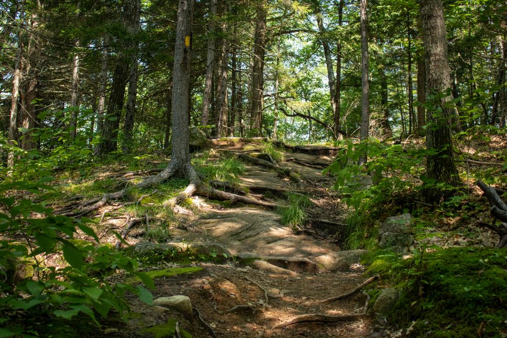 Boulder Loop Trail Trail Finder