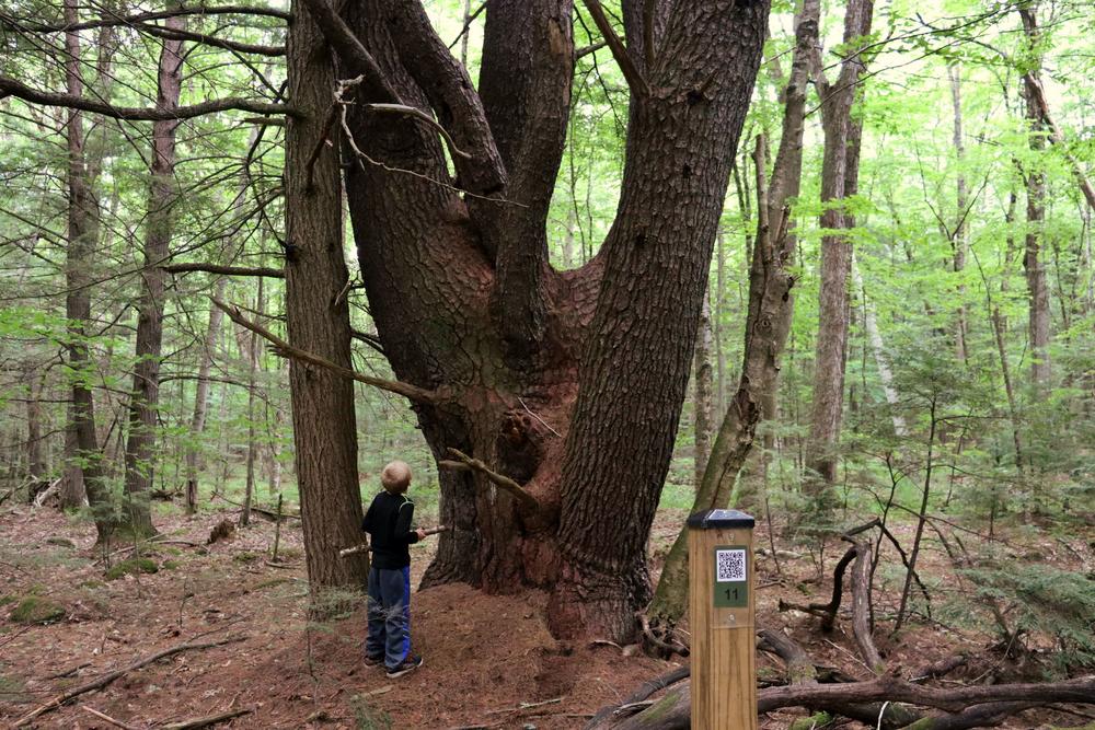Casey Road Conservation Area Trail Finder