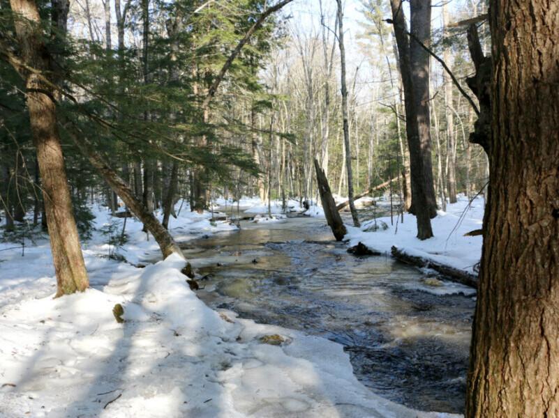 Casey Road Conservation Area Trail Finder