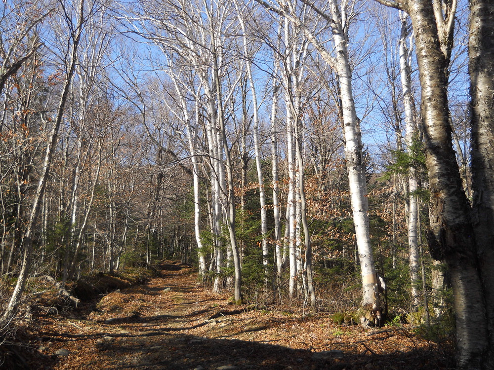 Sterling Forest Trails Trail Finder