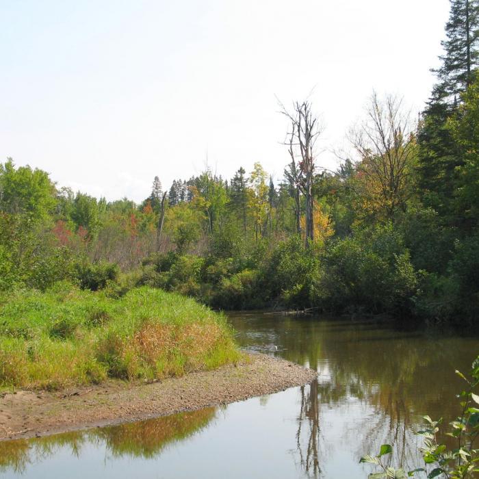 Dana Forest Gold Mine - NH Family Hikes